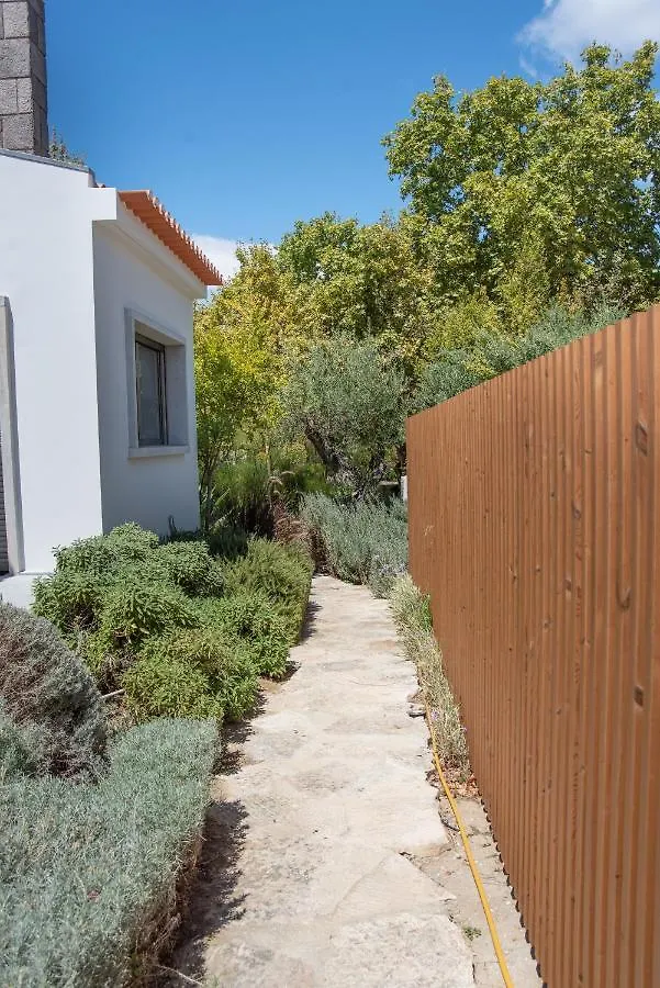 Santa Joana Apartments With Garden And Heated Pool Lisbon 0*,